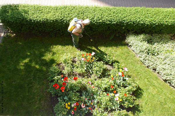 entretien-espaces-verts-particuliers
